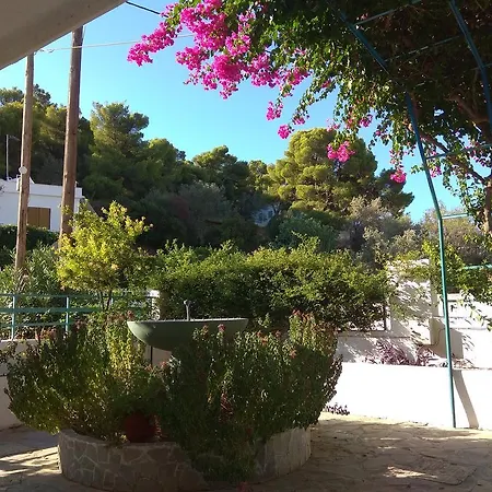 Hotel Alkyoni 2*